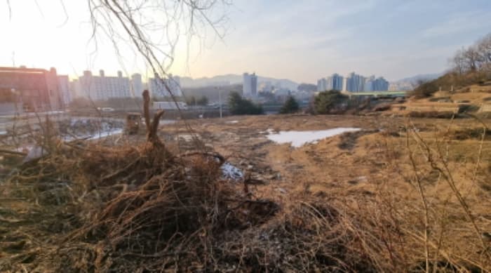 2023타경5516 사진