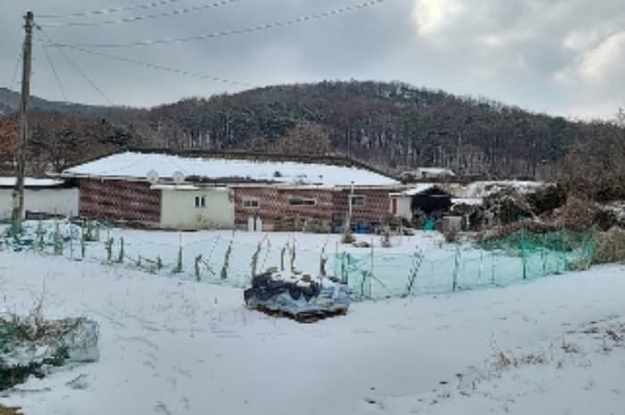 2023타경17088 사진