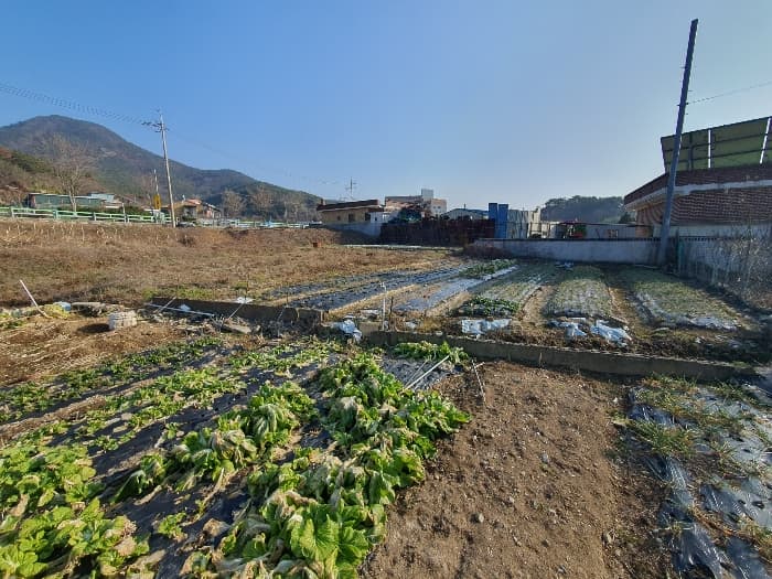 2023타경31367 사진