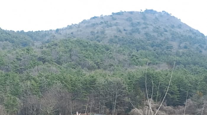 2024타경1226 사진