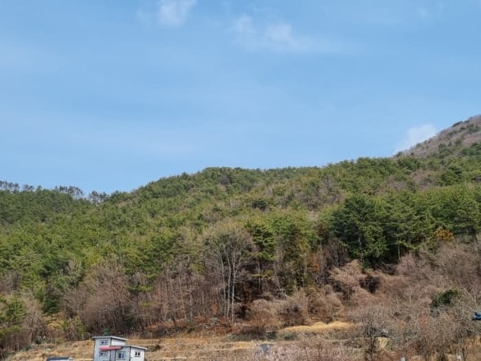 2024타경1226 사진