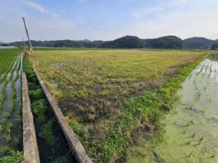 2024타경2091 사진