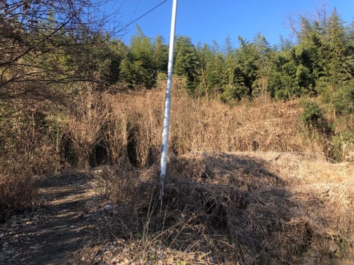 2024타경4244 부동산임의경매 대표 사진
