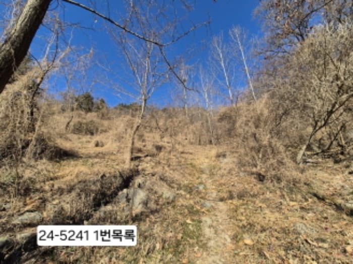 2024타경5241 사진