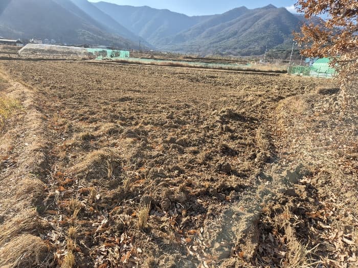 2024타경10169 사진