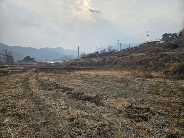 2024타경11603 부동산임의경매 대표 사진
