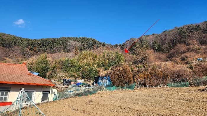 2024타경33087 사진