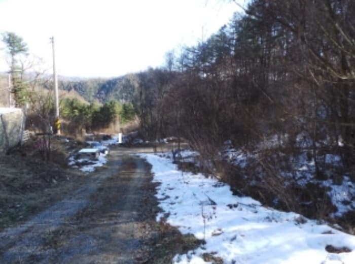 2024타경33397 사진