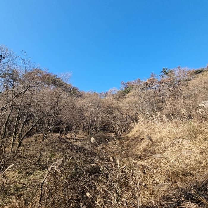 2024타경37354 사진