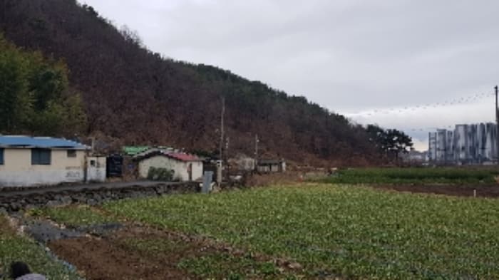 2024타경50094 사진
