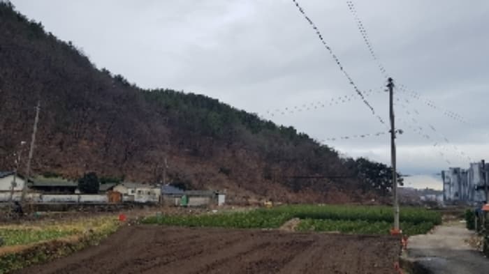 2024타경50094 사진