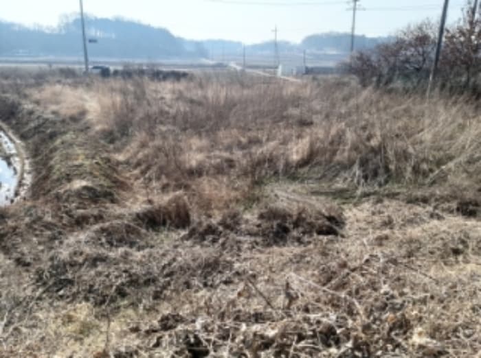 2024타경50856 사진