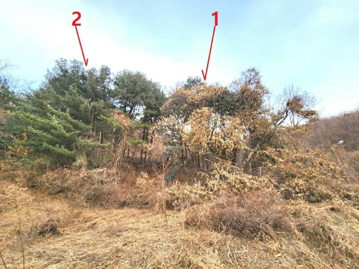 2024타경56451 사진