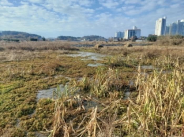 2024타경57352 사진