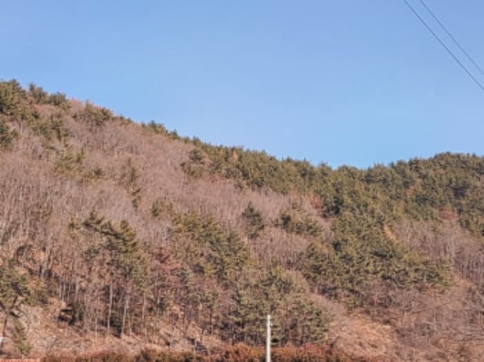 2024타경62615 사진