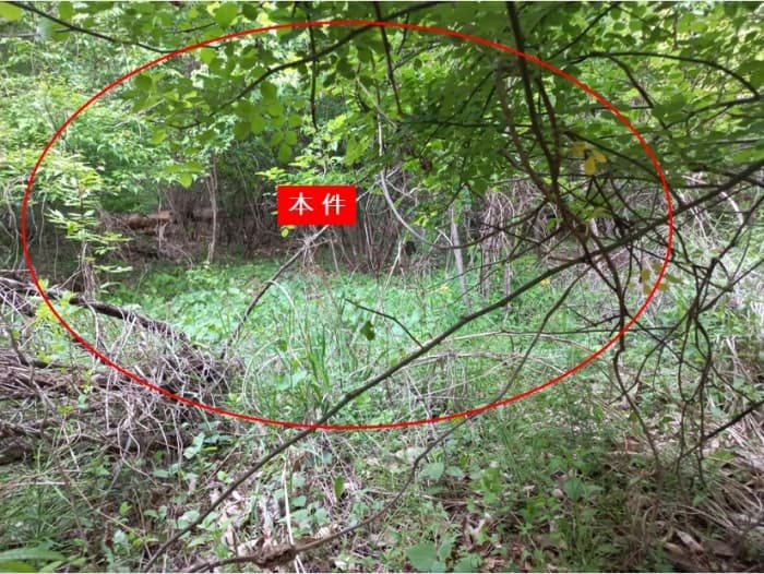 2024타경75338 부동산임의경매 대표 사진
