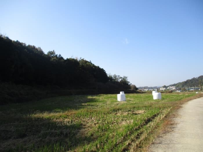 2024타경85848 부동산임의경매 대표 사진