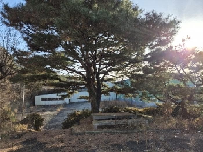 2024타경87219 사진
