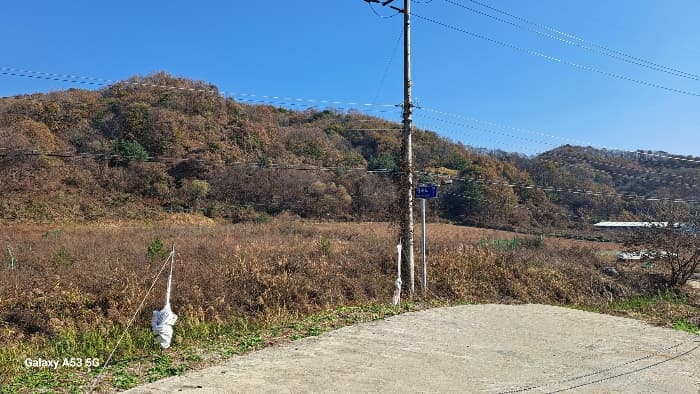 2024타경88163 사진