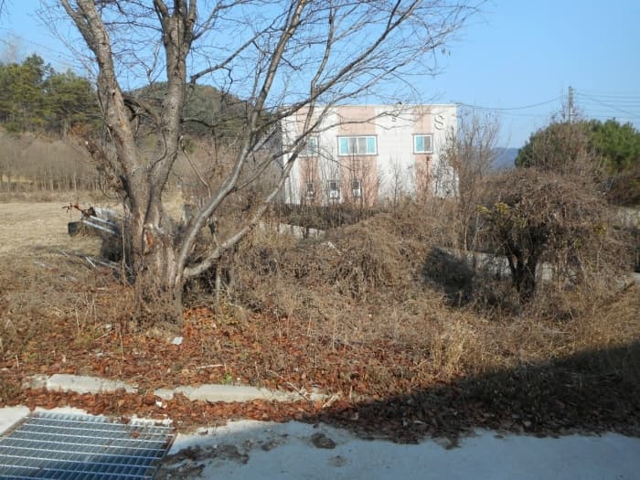 2024타경104096 사진