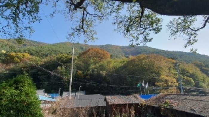 2024타경106316 부동산임의경매 대표 사진