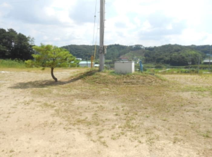 2024타경115321 사진