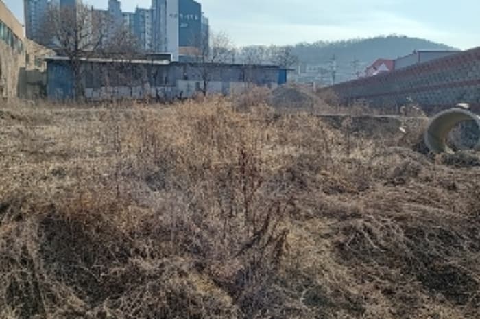 2024타경501573 사진