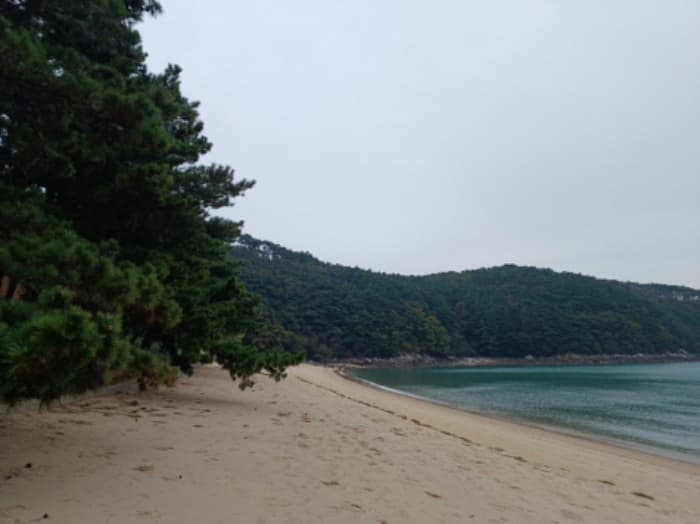 2024타경566921 부동산강제경매 대표 사진