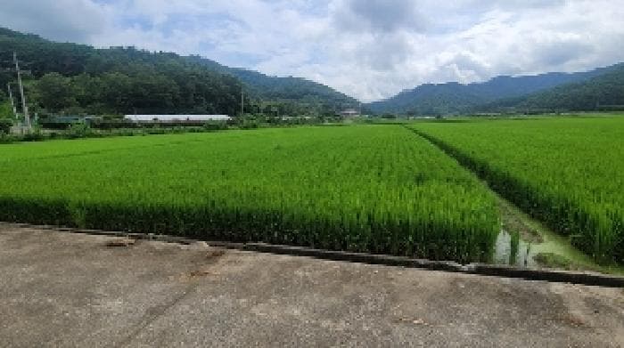 2025타경272 사진