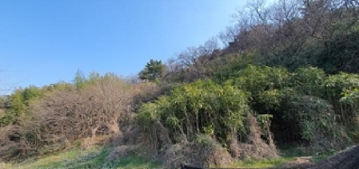 2025타경372 주거용 대표 사진