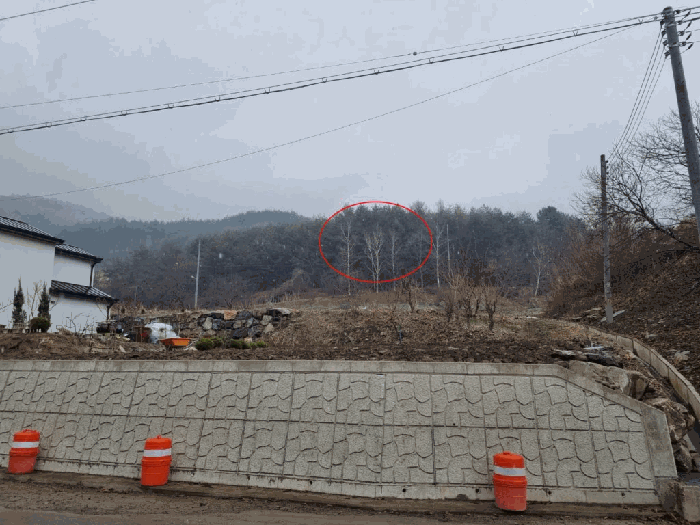 2025타경394 사진