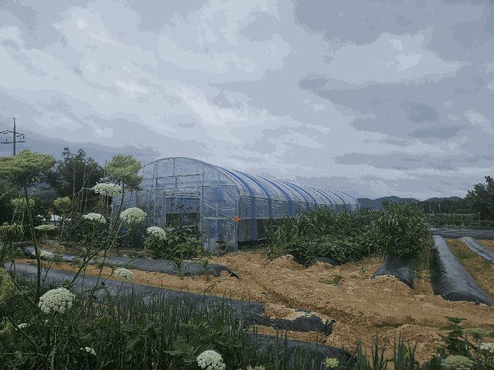 2025타경439 사진