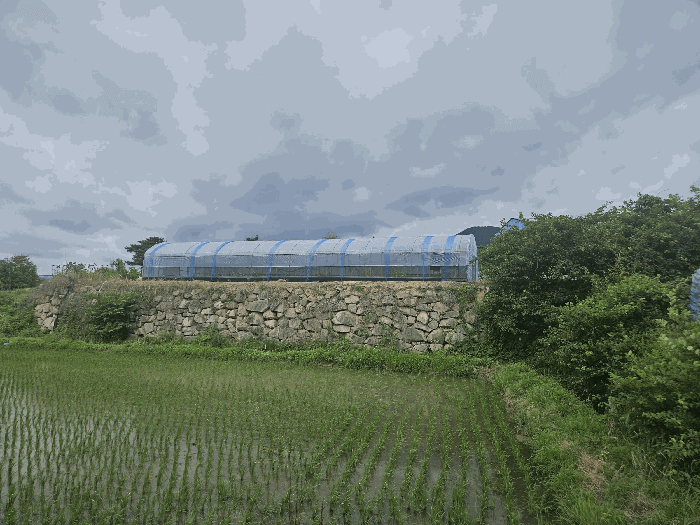 2025타경439 사진