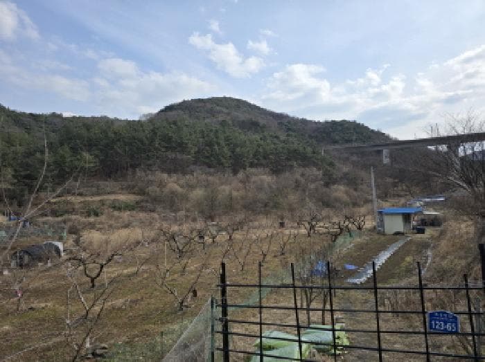 2025타경582 사진