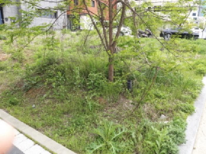 2025타경625 주거용 대표 사진