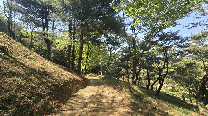 2025타경675 사진