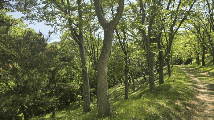 2025타경675 사진