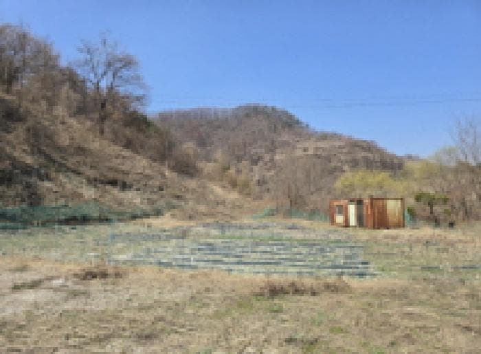 2025타경737 부동산임의경매 대표 사진