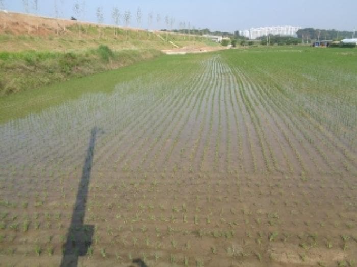 2025타경745 사진