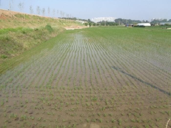 2025타경745 사진
