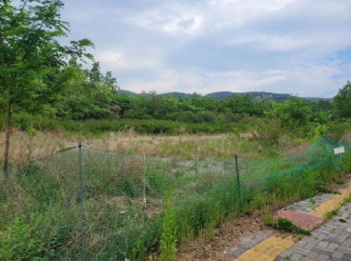 2025타경803 부동산임의경매 대표 사진