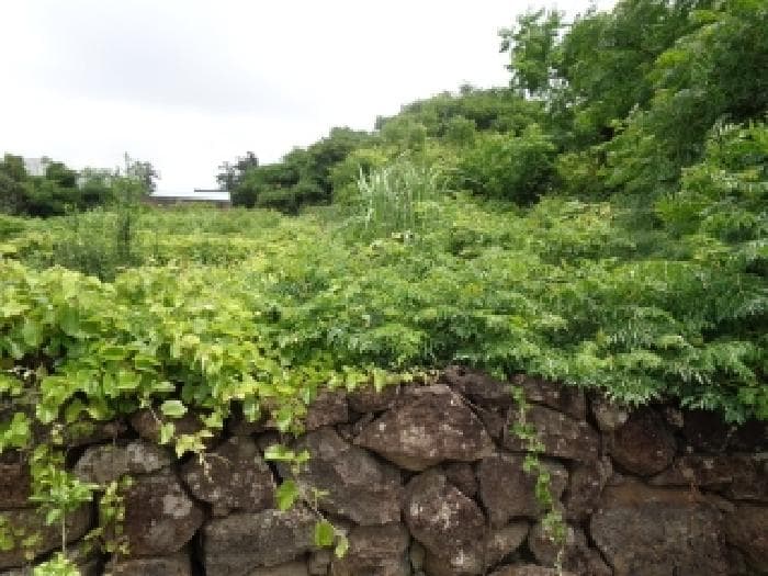2025타경1437 부동산임의경매 대표 사진