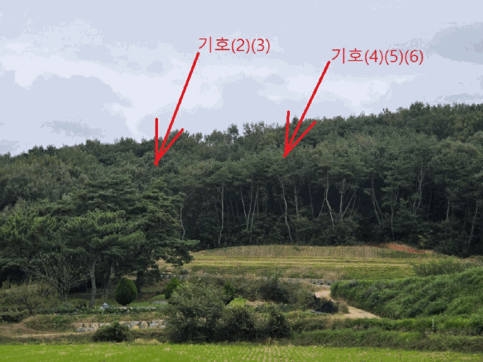 2025타경3330 사진