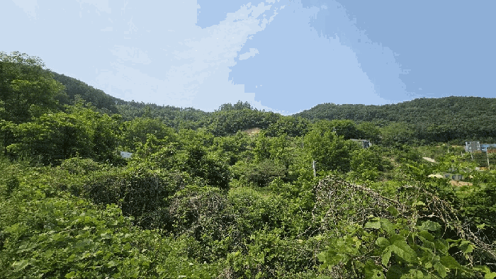 2025타경3549 사진