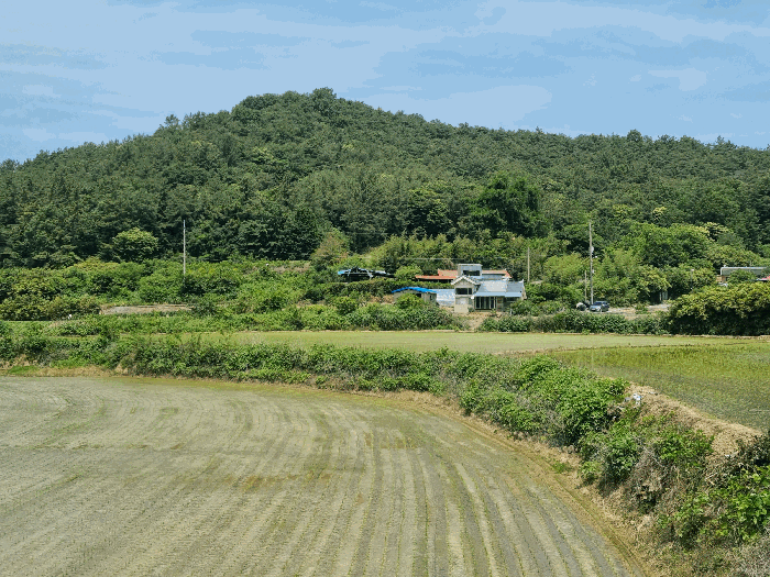 2025타경3553 부동산강제경매 대표 사진