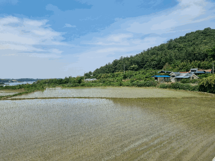 2025타경3553 사진