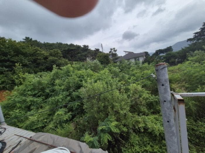 2025타경3675 사진