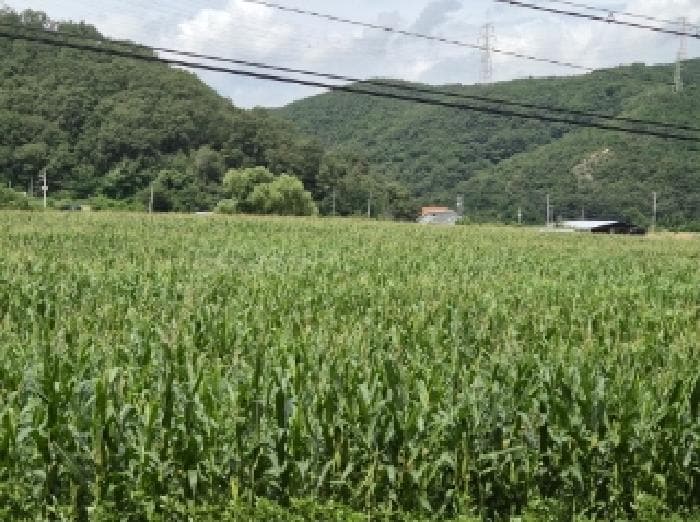 2025타경3987 부동산임의경매 대표 사진