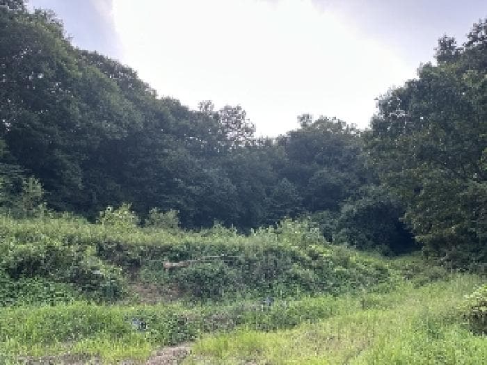 2025타경4186 주거용 대표 사진