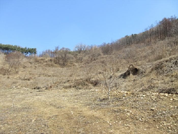 2025타경5240 주거용 대표 사진